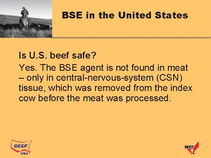 BSE in the United States Is U. S. beef safe? Yes. The BSE agent