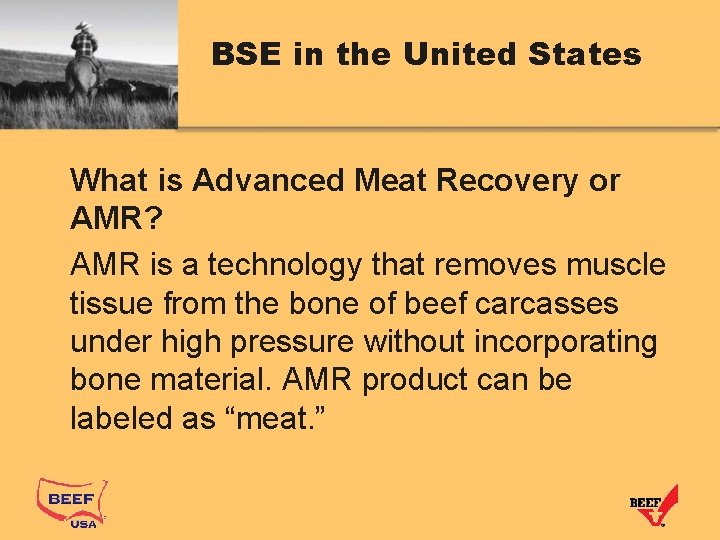 BSE in the United States What is Advanced Meat Recovery or AMR? AMR is