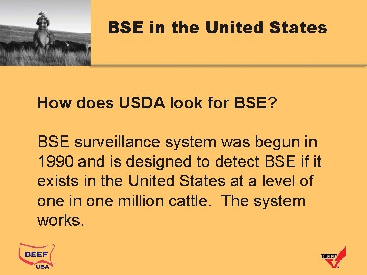 BSE in the United States How does USDA look for BSE? BSE surveillance system