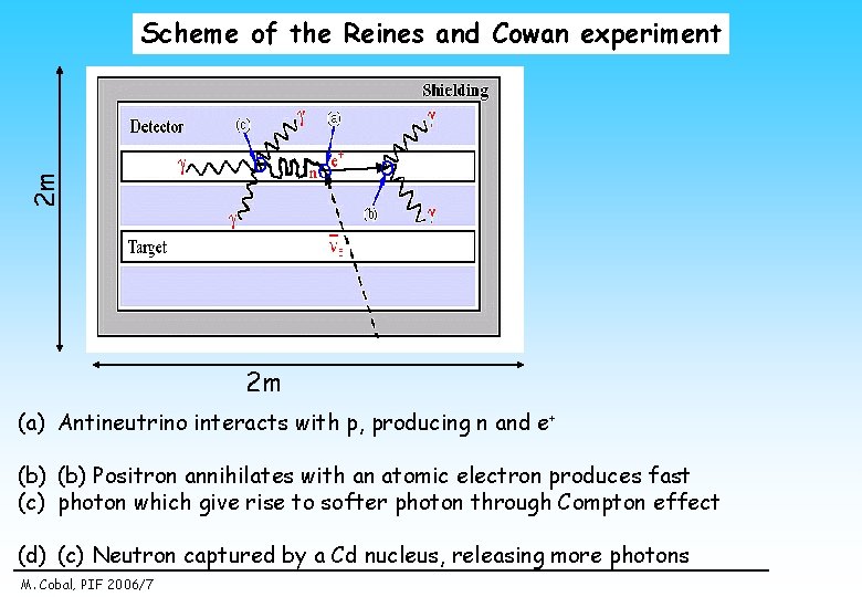 2 m Scheme of the Reines and Cowan experiment 2 m (a) Antineutrino interacts