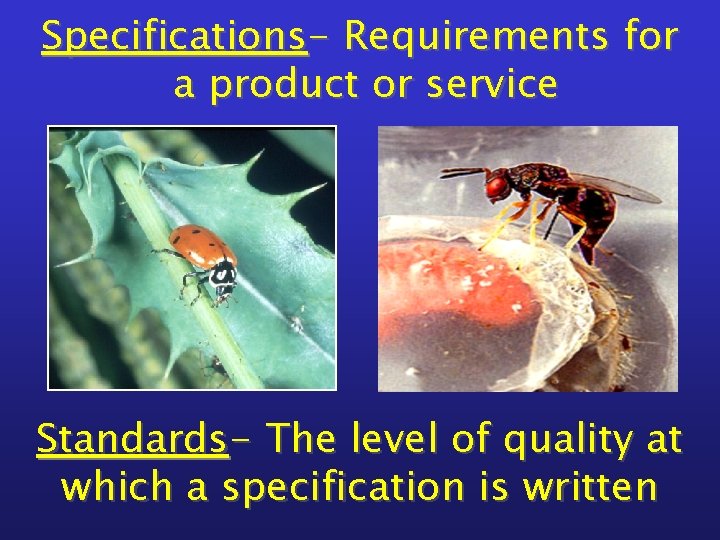 Specifications- Requirements for a product or service Standards- The level of quality at which