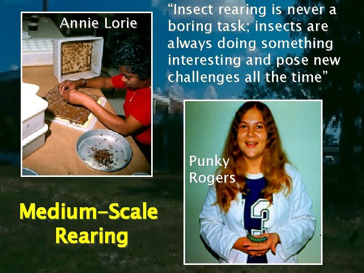 Annie Lorie “Insect rearing is never a boring task; insects are always doing something