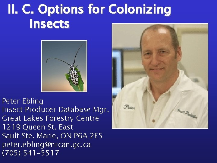II. C. Options for Colonizing Insects Peter Ebling Insect Producer Database Mgr. Great Lakes