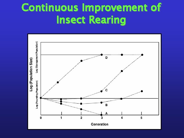 Continuous Improvement of Insect Rearing 