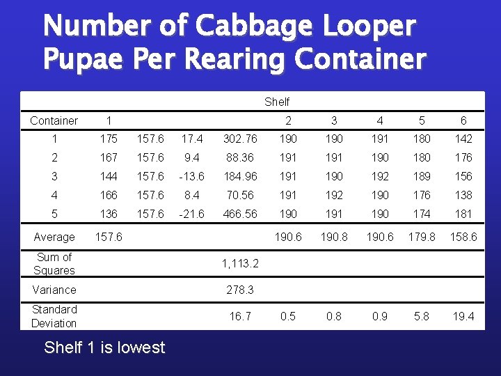 Number of Cabbage Looper Pupae Per Rearing Container Shelf Container 1 2 3 4