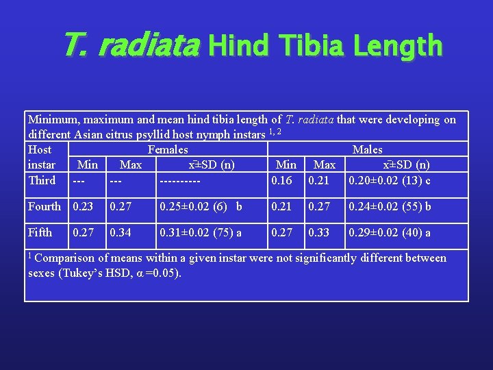 T. radiata Hind Tibia Length Minimum, maximum and mean hind tibia length of T.