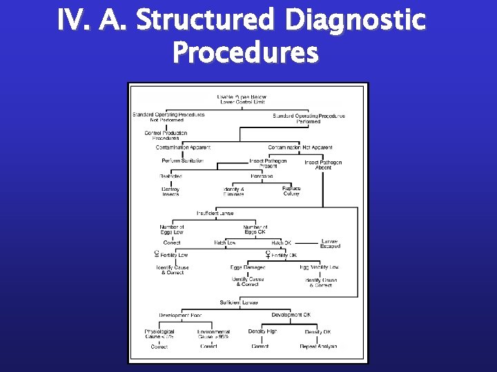 IV. A. Structured Diagnostic Procedures 