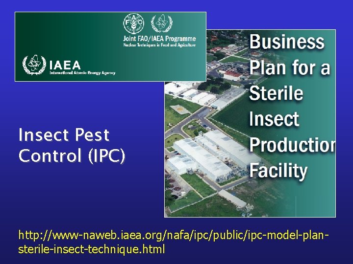 Insect Pest Control (IPC) http: //www-naweb. iaea. org/nafa/ipc/public/ipc-model-plansterile-insect-technique. html 