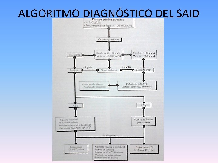 ALGORITMO DIAGNÓSTICO DEL SAID 