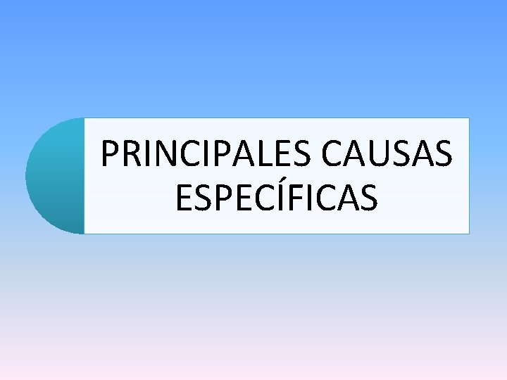 PRINCIPALES CAUSAS ESPECÍFICAS 