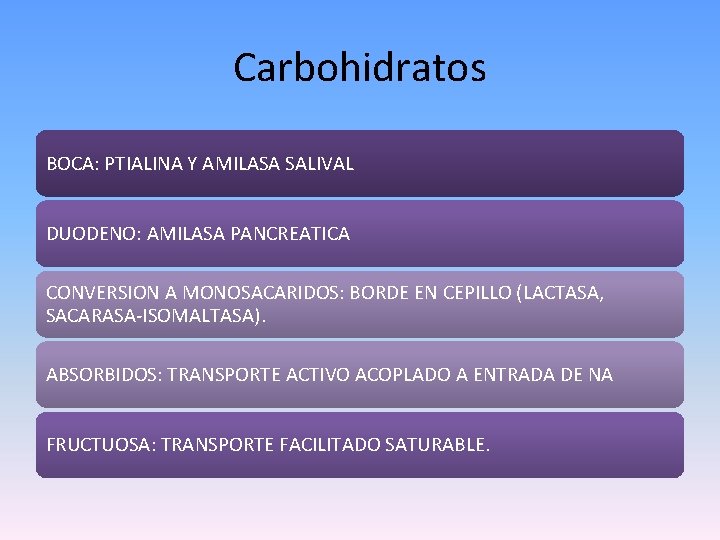 Carbohidratos BOCA: PTIALINA Y AMILASA SALIVAL DUODENO: AMILASA PANCREATICA CONVERSION A MONOSACARIDOS: BORDE EN