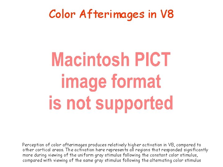 Color Afterimages in V 8 Perception of color afterimages produces relatively higher activation in
