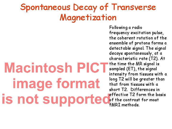 Spontaneous Decay of Transverse Magnetization Following a radio frequency excitation pulse, the coherent rotation