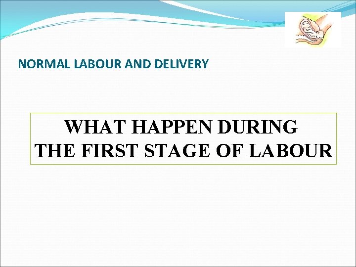 NORMAL LABOUR AND DELIVERY WHAT HAPPEN DURING THE FIRST STAGE OF LABOUR 