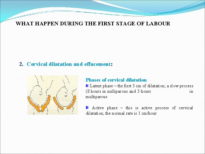 WHAT HAPPEN DURING THE FIRST STAGE OF LABOUR 2. Cervical dilatation and effacement: Phases