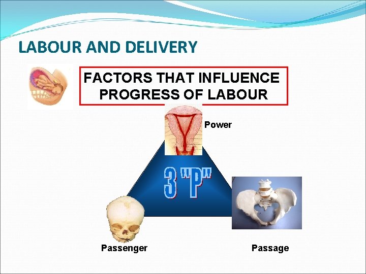 LABOUR AND DELIVERY FACTORS THAT INFLUENCE PROGRESS OF LABOUR Power Passenger Passage 