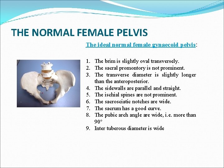 THE NORMAL FEMALE PELVIS The ideal normal female gynaecoid pelvis: 1. The brim is