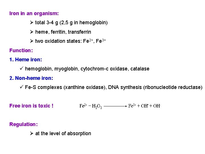 Iron in an organism: Ø total 3 -4 g (2, 5 g in hemoglobin)