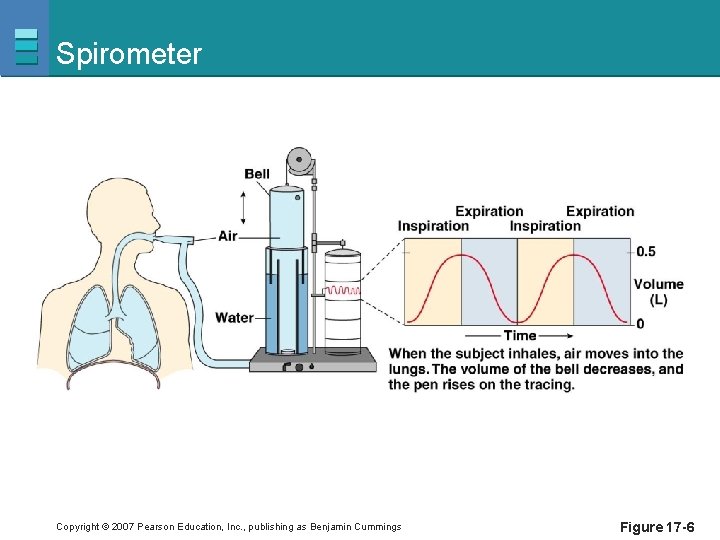 Spirometer Copyright © 2007 Pearson Education, Inc. , publishing as Benjamin Cummings Figure 17