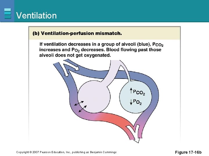 Ventilation Copyright © 2007 Pearson Education, Inc. , publishing as Benjamin Cummings Figure 17