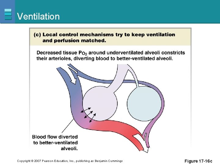 Ventilation Copyright © 2007 Pearson Education, Inc. , publishing as Benjamin Cummings Figure 17