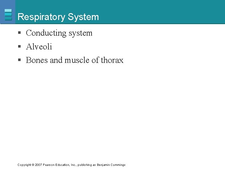 Respiratory System § Conducting system § Alveoli § Bones and muscle of thorax Copyright