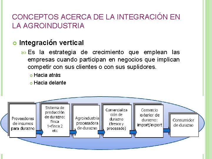 CONCEPTOS ACERCA DE LA INTEGRACIÓN EN LA AGROINDUSTRIA Integración vertical Es la estrategia de