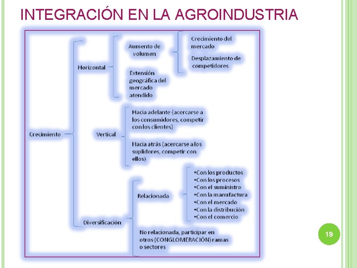 INTEGRACIÓN EN LA AGROINDUSTRIA 19 