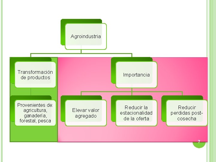 Agroindustria Transformación de productos Provenientes de: agricultura, ganadería, forestal, pesca Importancia Elevar valor agregado