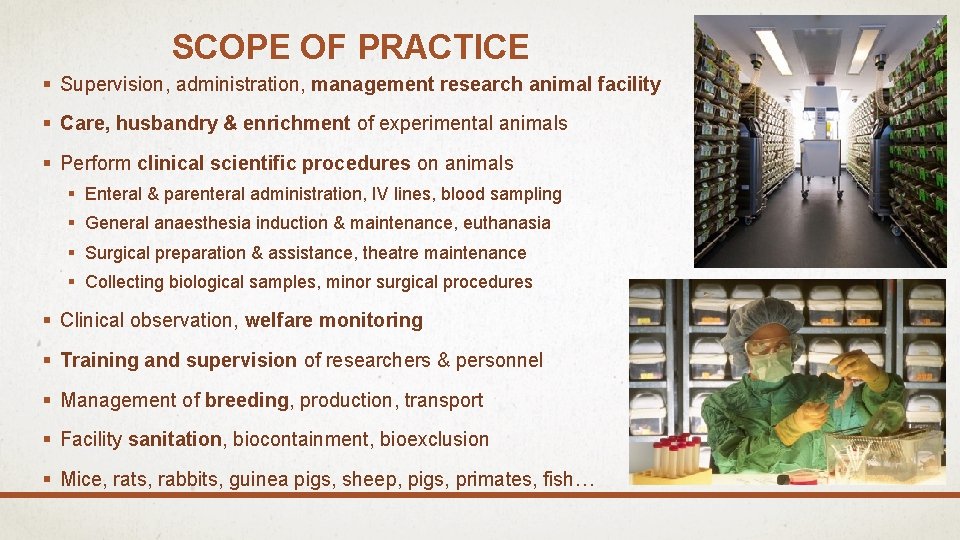 SCOPE OF PRACTICE § Supervision, administration, management research animal facility § Care, husbandry &