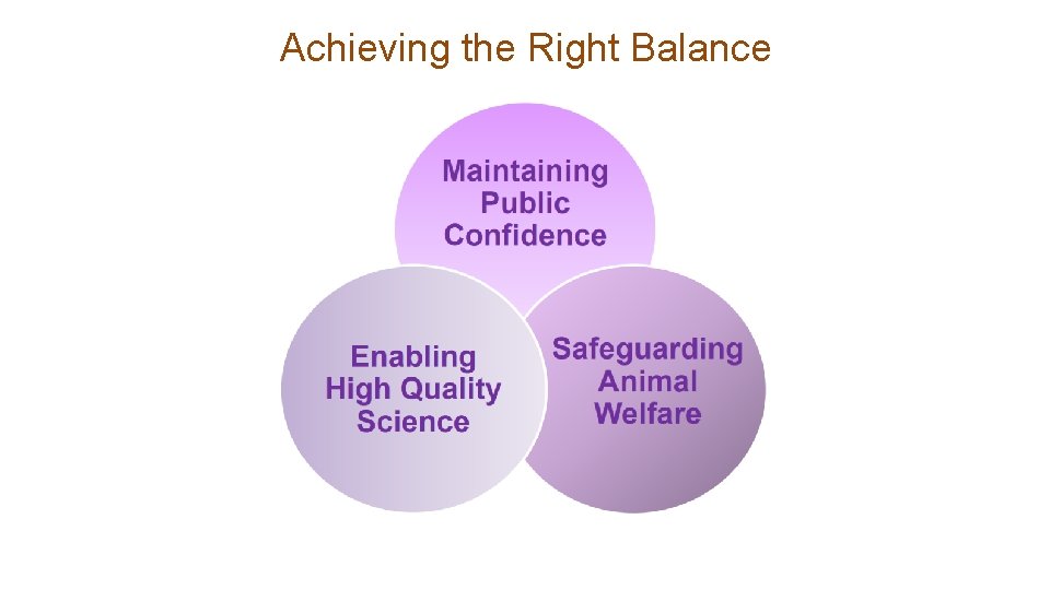 Achieving the Right Balance 