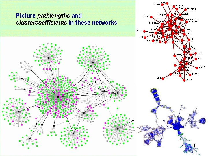 Picture pathlengths and clustercoefficients in these networks 11 