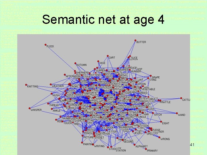 Semantic net at age 4 41 