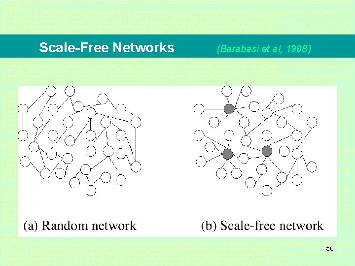 Scale-Free Networks (Barabasi et al, 1998) 56 