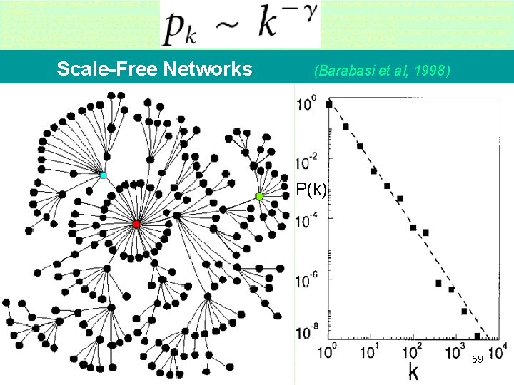 Scale-Free Networks (Barabasi et al, 1998) 59 
