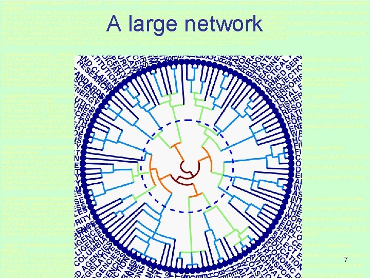 A large network 7 