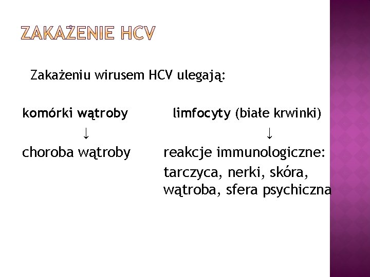 Zakażeniu wirusem HCV ulegają: komórki wątroby ↓ limfocyty (białe krwinki) ↓ choroba wątroby reakcje
