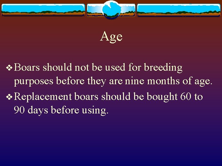 Age v Boars should not be used for breeding purposes before they are nine