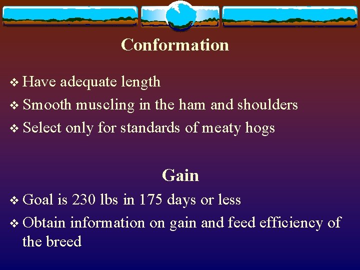 Conformation v Have adequate length v Smooth muscling in the ham and shoulders v