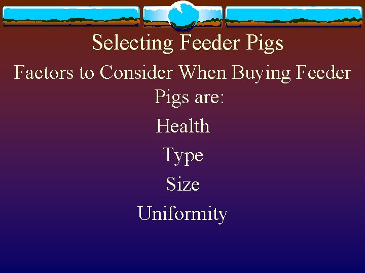 Selecting Feeder Pigs Factors to Consider When Buying Feeder Pigs are: Health Type Size