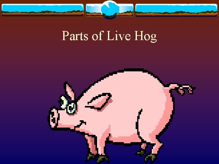 Parts of Live Hog 