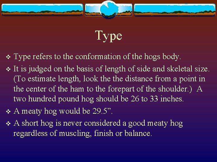 Type refers to the conformation of the hogs body. v It is judged on