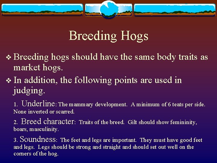 Breeding Hogs v Breeding hogs should have the same body traits as market hogs.