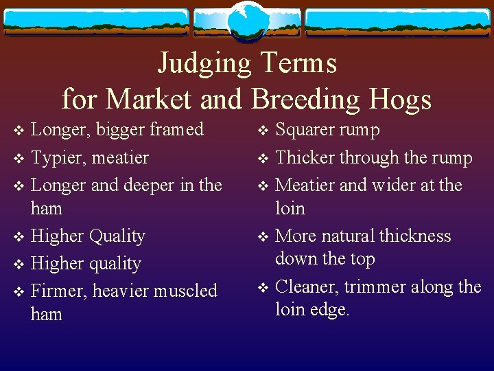 Judging Terms for Market and Breeding Hogs Longer, bigger framed v Typier, meatier v