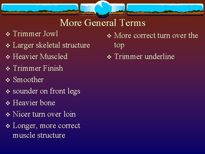 More General Terms Trimmer Jowl v Larger skeletal structure v Heavier Muscled v Trimmer