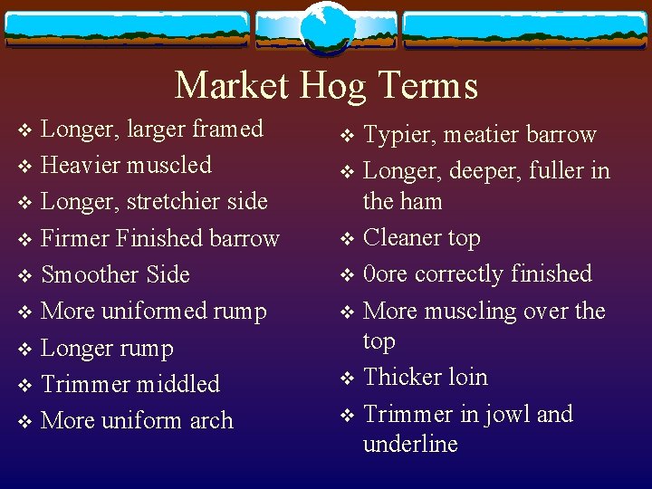 Market Hog Terms Longer, larger framed v Heavier muscled v Longer, stretchier side v