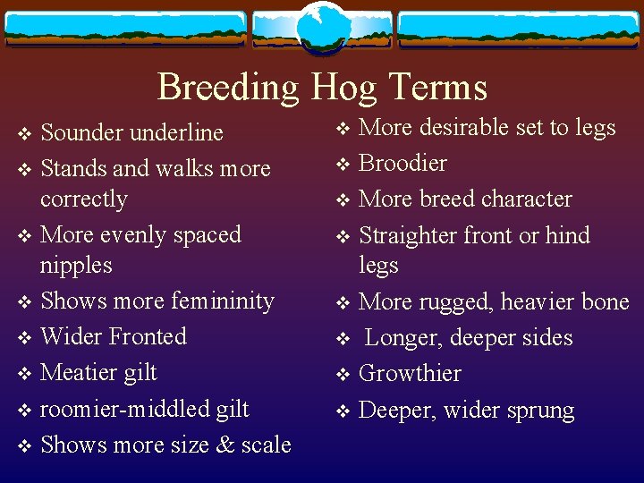 Breeding Hog Terms Sounderline v Stands and walks more correctly v More evenly spaced