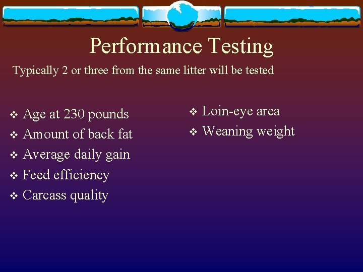 Performance Testing Typically 2 or three from the same litter will be tested Age