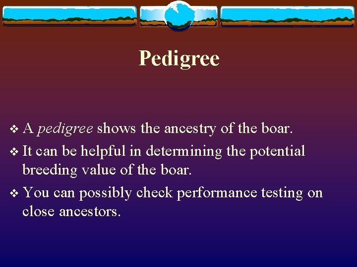 Pedigree v. A pedigree shows the ancestry of the boar. v It can be