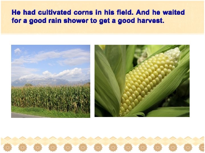 He had cultivated corns in his field. And he waited for a good rain